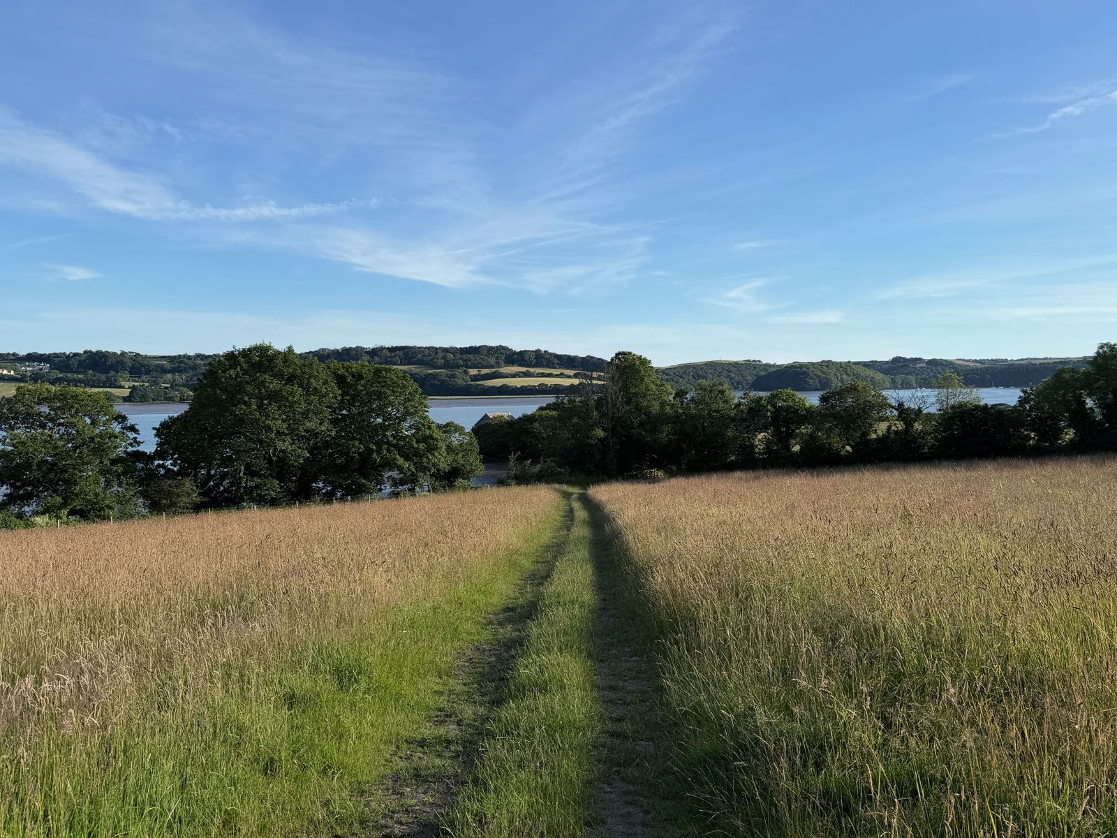 A mown track through long summer grass down to the river